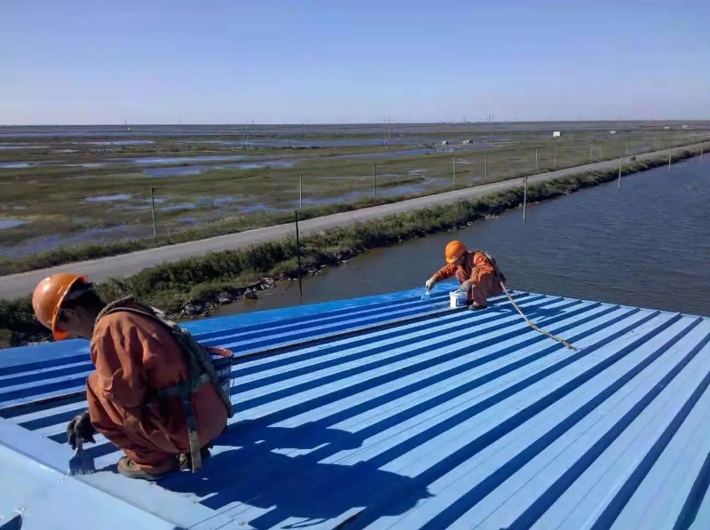 夏邑钢结构屋面漏水原因